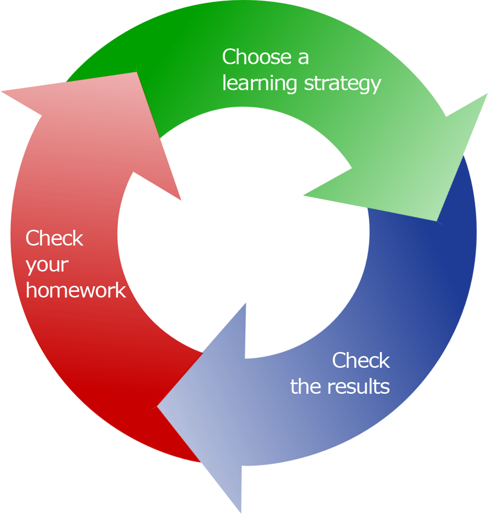  Homework -> Learning Strategy -> Results